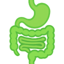 Digestive Enzymes