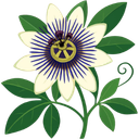 Passion Flower